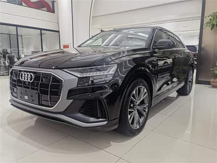 Audi Q8 2023 2023款 55 TFSI 豪华动感型