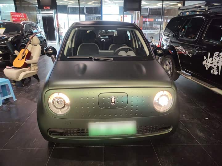 Ora Black Cat 2022 2022款 改款 301km 萌宠版 磷酸铁锂