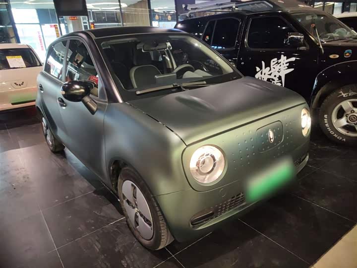 Ora Black Cat 2022 2022款 改款 301km 萌宠版 磷酸铁锂