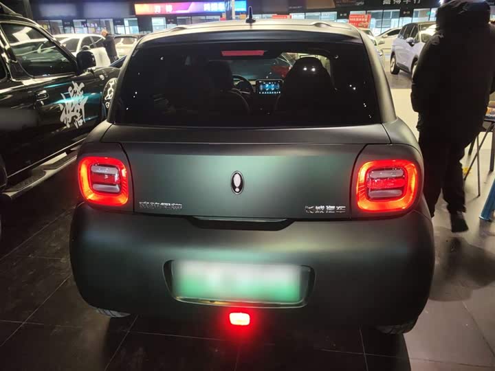 Ora Black Cat 2022 2022款 改款 301km 萌宠版 磷酸铁锂