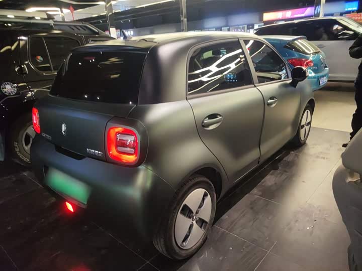 Ora Black Cat 2022 2022款 改款 301km 萌宠版 磷酸铁锂