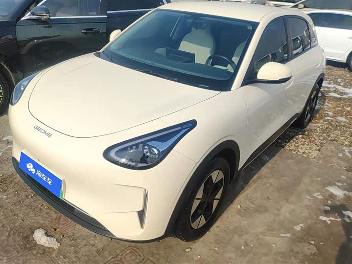 Geely Galaxy Geome 2025 2025款 310km 梦想版