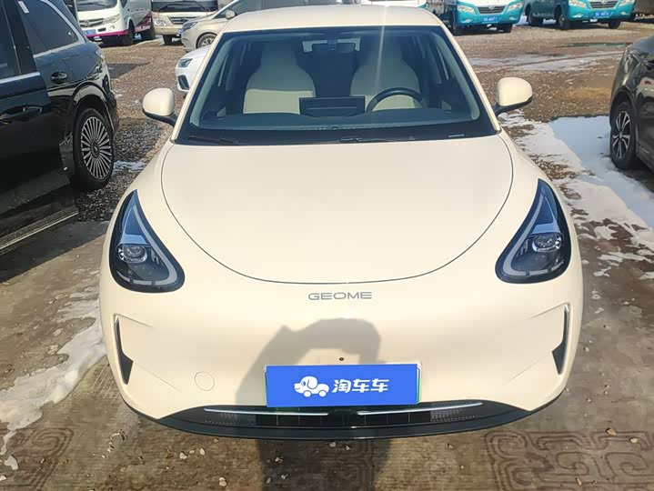Geely Galaxy Geome 2025 2025款 310km 梦想版