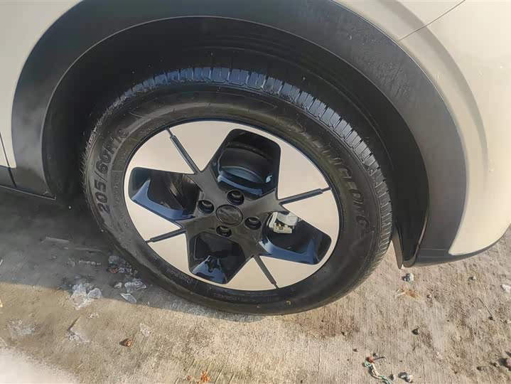 Geely Galaxy Geome 2025 2025款 310km 梦想版