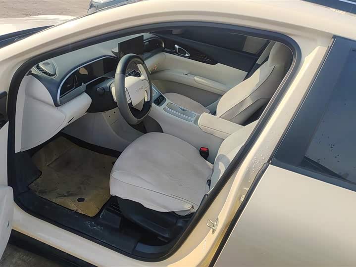 Geely Galaxy Geome 2025 2025款 310km 梦想版