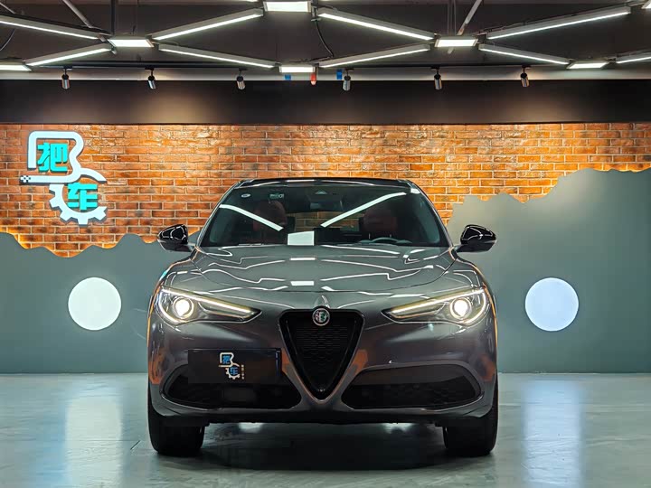 Alfa Romeo Stelvio 2022 2022款 2.0T 280HP Veloce赛道版