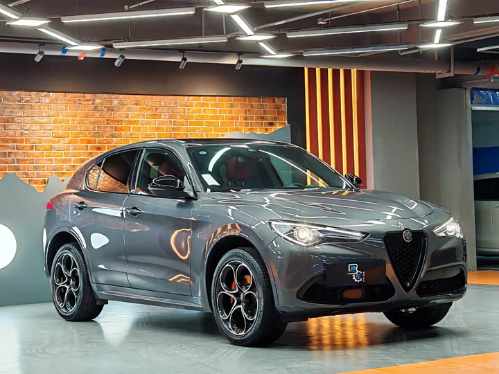 Alfa Romeo Stelvio 2022 2022款 2.0T 280HP Veloce赛道版