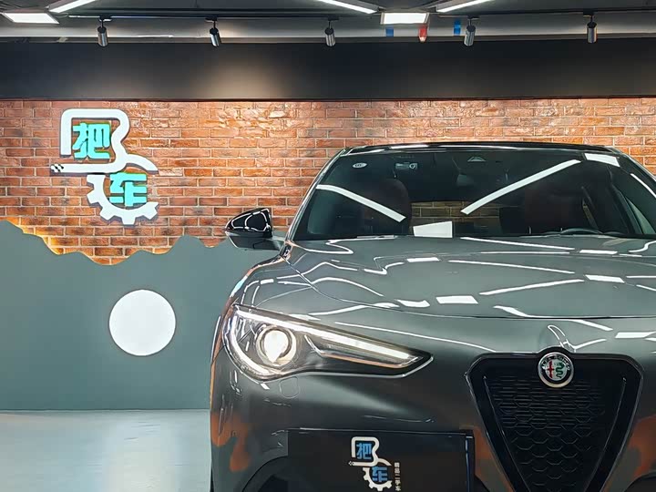 Alfa Romeo Stelvio 2022 2022款 2.0T 280HP Veloce赛道版