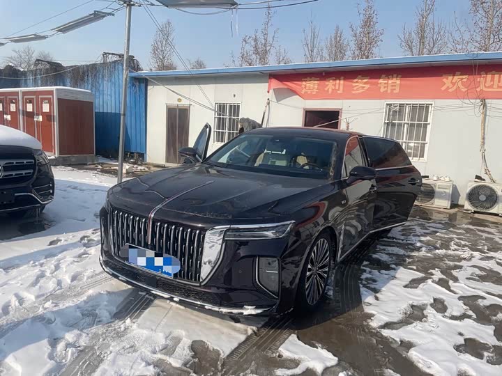 Hongqi H9 2024 2024款 3.0T 旗畅 豪华商务版