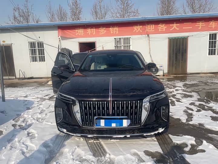 Hongqi H9 2024 2024款 3.0T 旗畅 豪华商务版