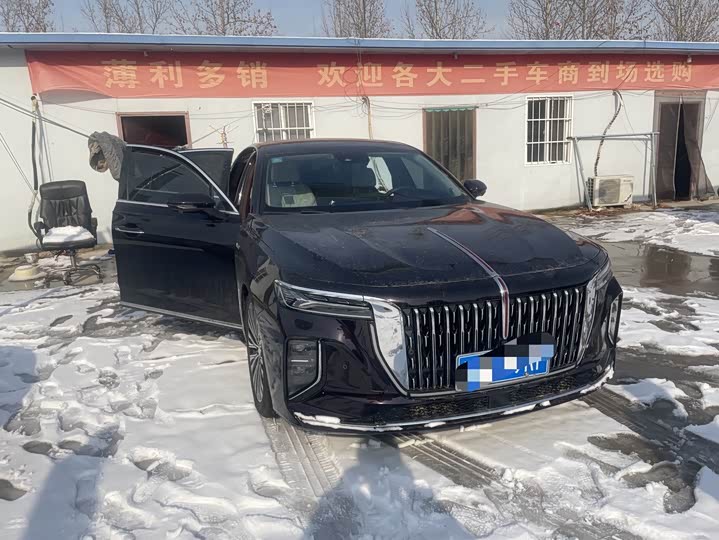 Hongqi H9 2024 2024款 3.0T 旗畅 豪华商务版