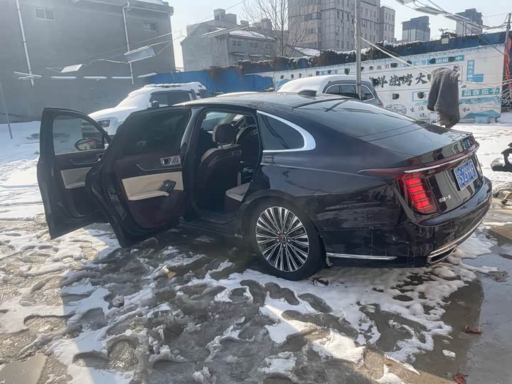 Hongqi H9 2024 2024款 3.0T 旗畅 豪华商务版