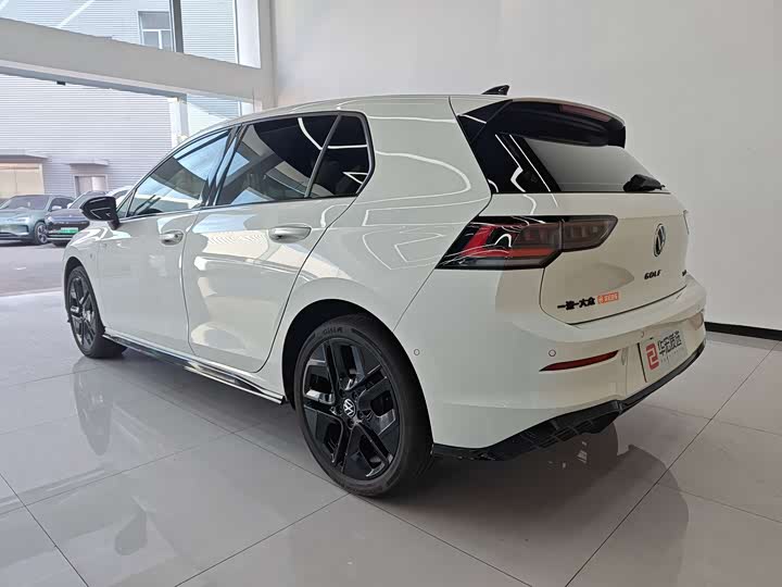 Volkswagen Golf 2025 2025款 300TSI R-Line