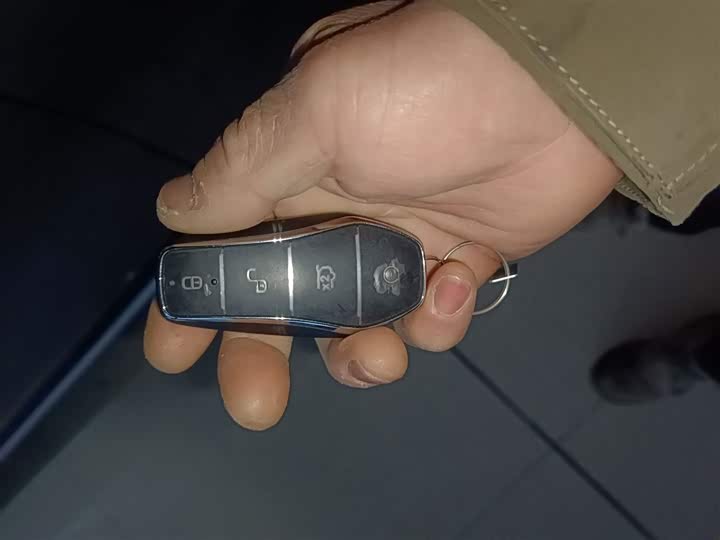 BYD Yuan Plus 2025 2025款 智驾版 430KM 领先型