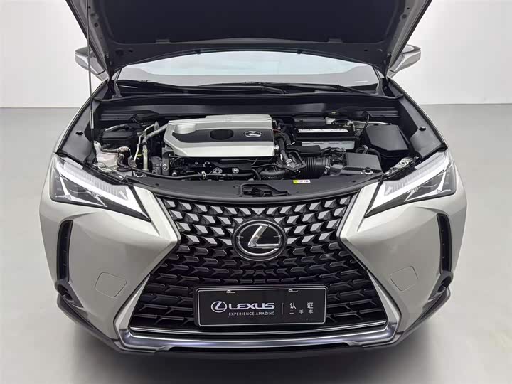 Lexus UX 2020 2020款 200 特别版