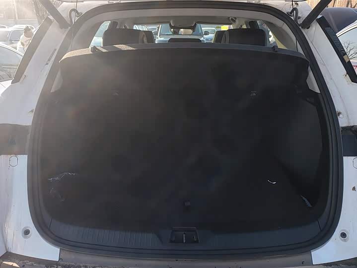 BYD Sea Lion 05 DM-i Hybrid 2025 2025款 DM-i 智驾版 115KM旗舰型