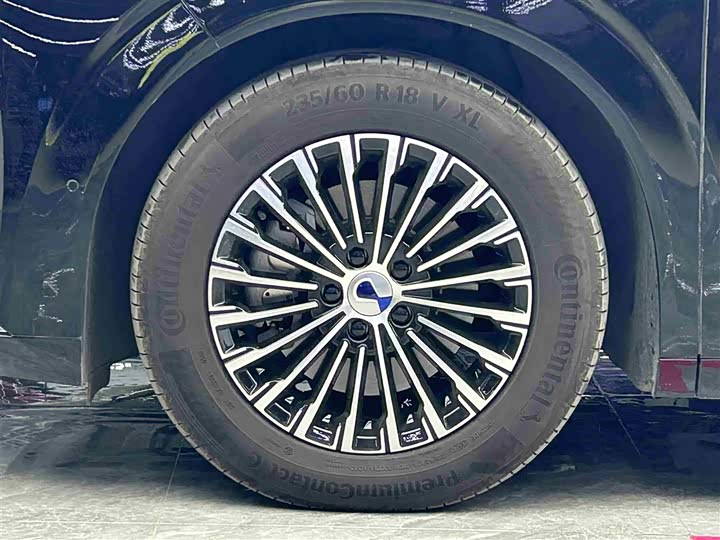 Denza D9 2025 2025款 DM-i 智驾版 1020 四驱旗舰型