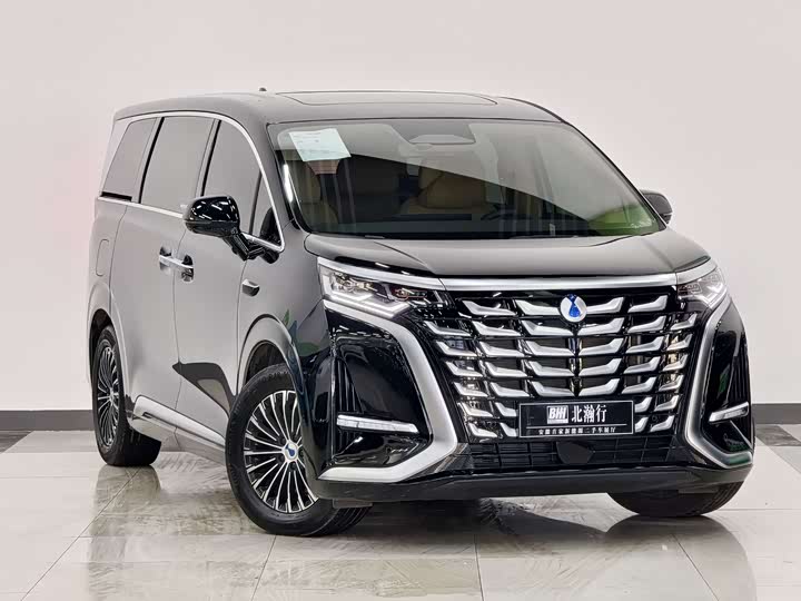 Denza D9 2025 2025款 DM-i 智驾版 1100 豪华型