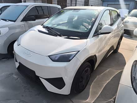 BYD Seagull 2025 2025款 智驾版 305km 活力版