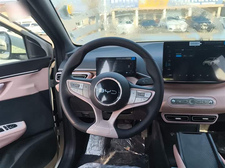 BYD Seagull 2025 2025款 智驾版 305km 活力版