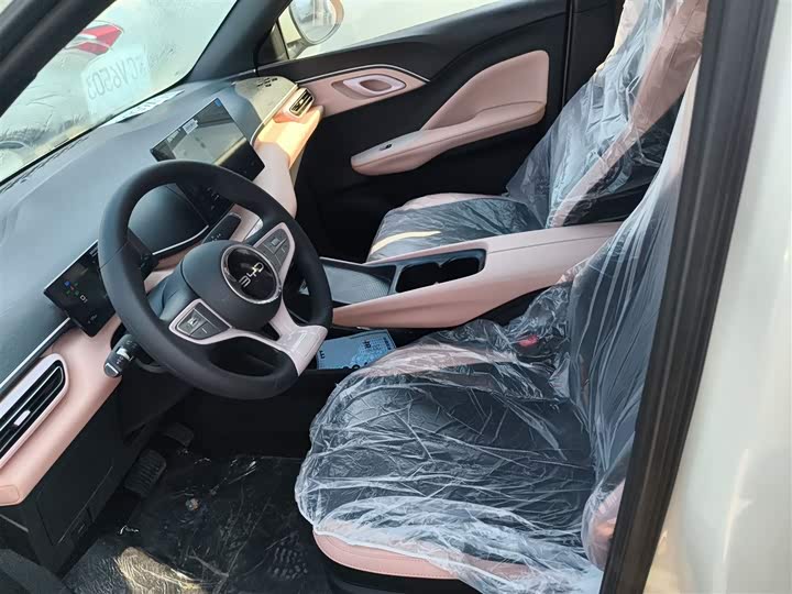 BYD Seagull 2025 2025款 智驾版 305km 活力版