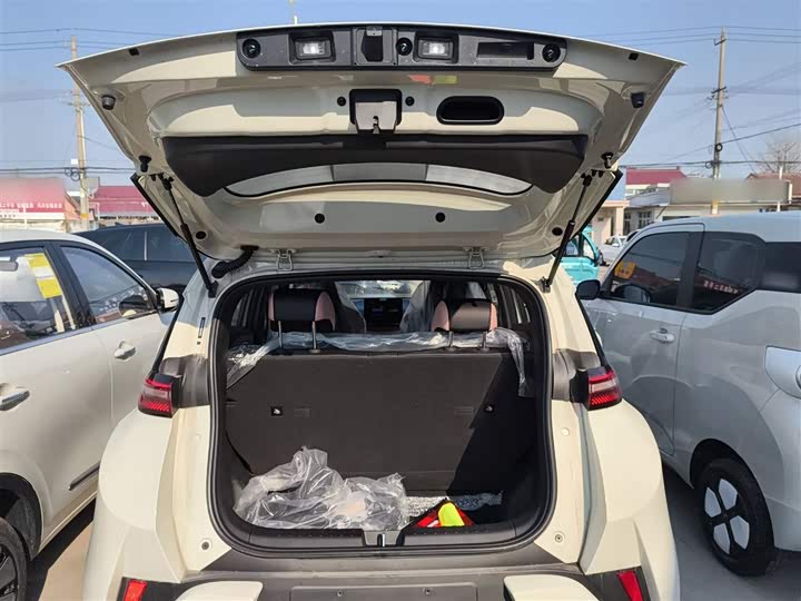 BYD Seagull 2025 2025款 智驾版 305km 活力版