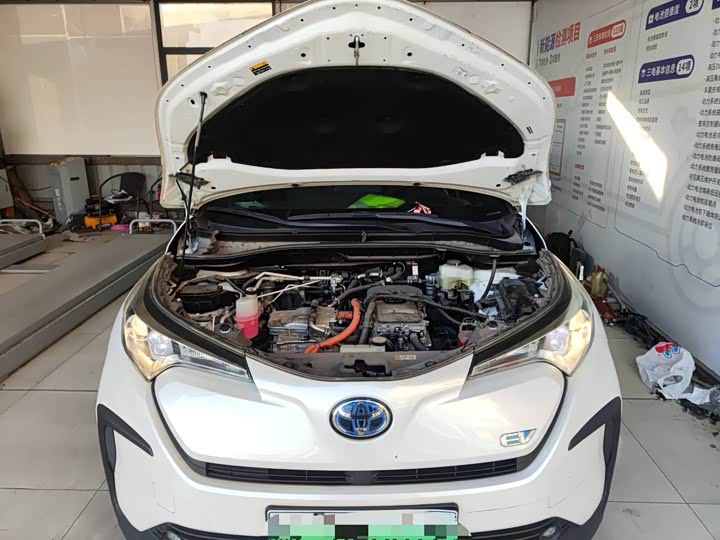 Toyota Izoa EV 2020 2020款 E·智行版