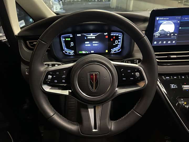 Hongqi HQ9 2024 2024款 2.0T 商务版