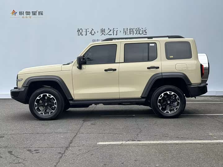 Tank 300 Hybrid 2025 2025款 Hi4-T 37.1kWh