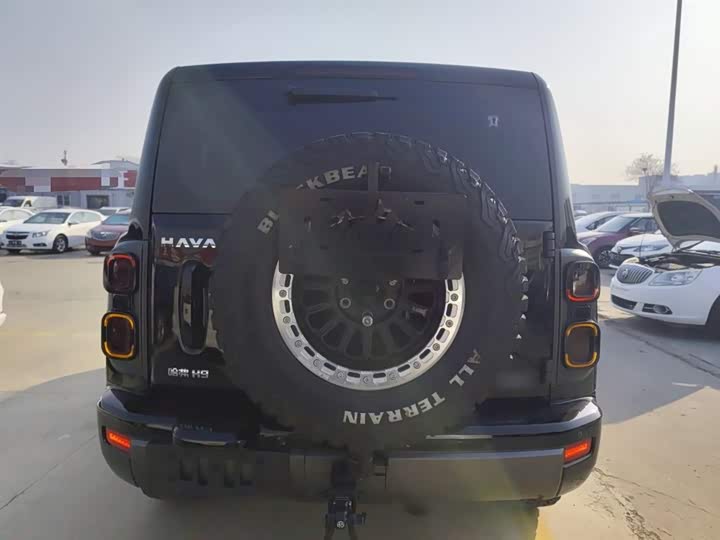 Haval H9 2024 2024款 2.0T 汽油四驱探境版