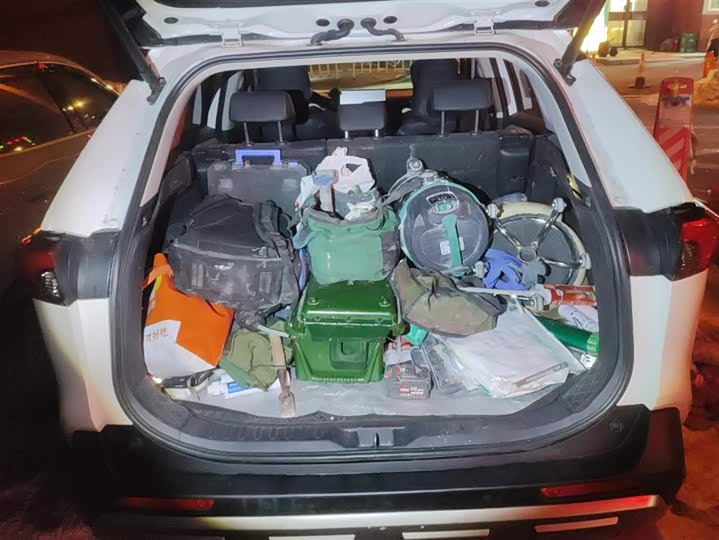 Toyota RAV4 2024 2024款 2.0L CVT两驱风尚Plus版