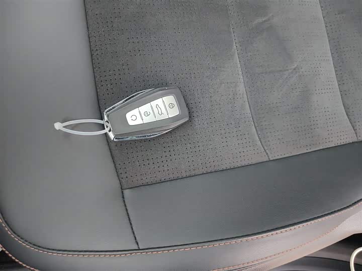 Geely Okavango L 2025 2025款 2.0T DCT尊享款