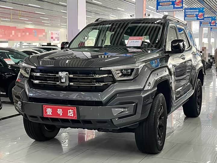 Tank 400 Hybrid 2024 2024款 Hi4-T 越野版