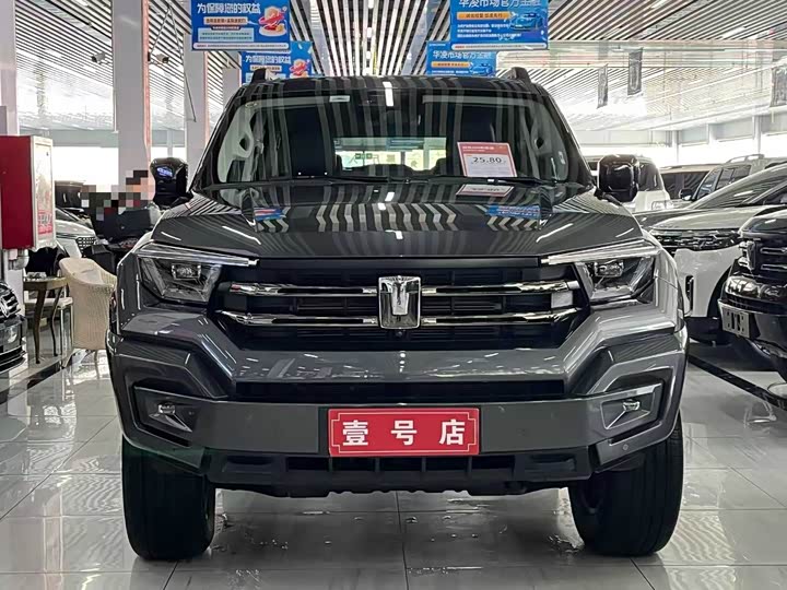 Tank 400 Hybrid 2024 2024款 Hi4-T 越野版