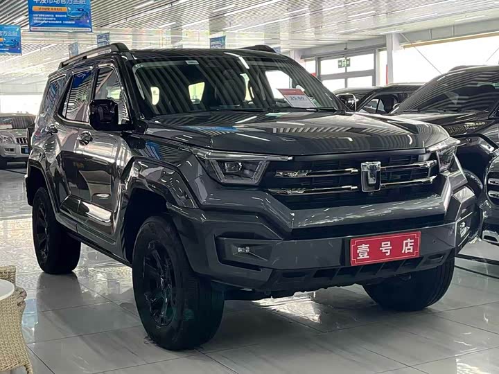 Tank 400 Hybrid 2024 2024款 Hi4-T 越野版