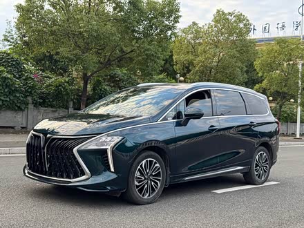 Dongfeng Forthing Yacht 2022 2022款 1.5T DCT逐浪版