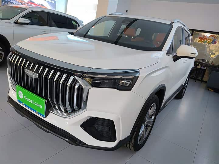 Geely Okavango L 2024 2024款 2.0T DCT旗舰型