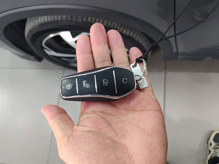 BYD Sea Lion 05 DM-i Hybrid 2025 2025款 DM-i 智驾版 115KM旗舰型