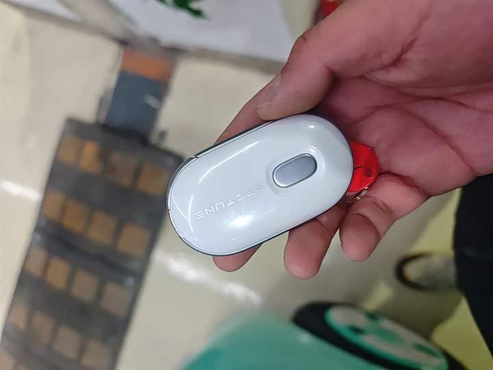 Bestune Pony 2025 2025款 222km 闪电马