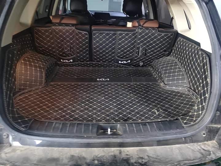 Kia Sportage GT-line 2021 2021款 Ace 2.0L 精彩版