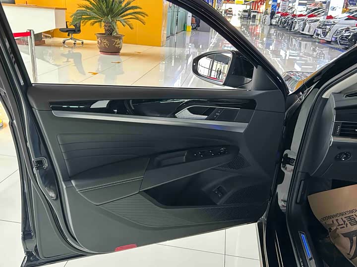 Volkswagen Passat Hybrid 2025 2025款 430PHEV 混动商务版