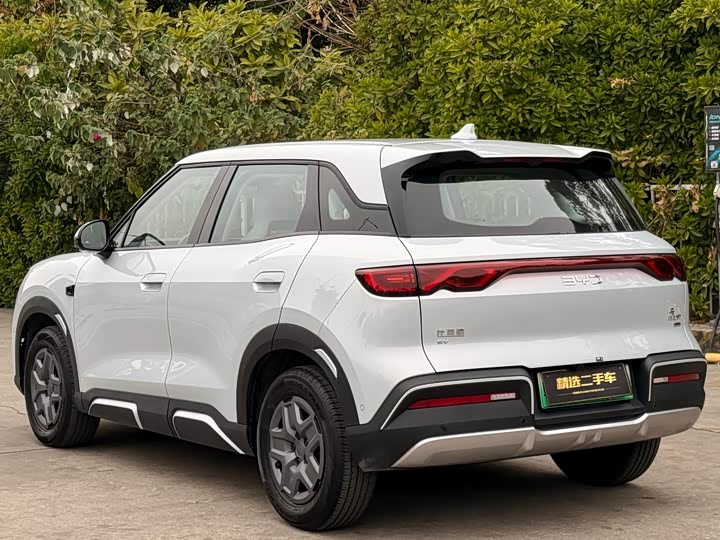 BYD Yuan Up 2025 2025款 智驾版 401KM 活力版