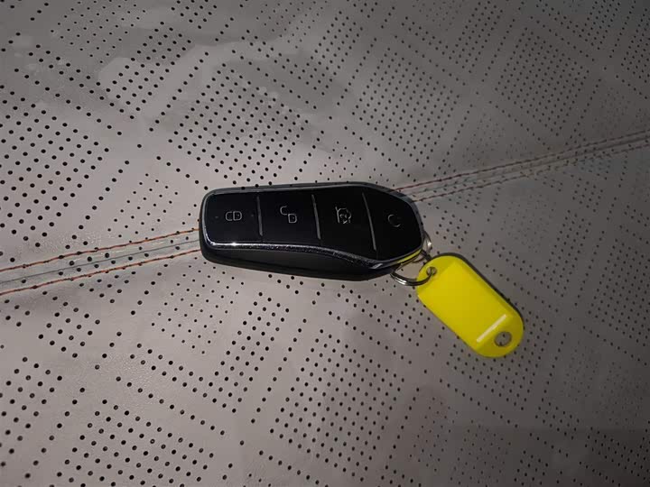 BYD Yuan Plus 2025 2025款 智驾版 510KM 超越型