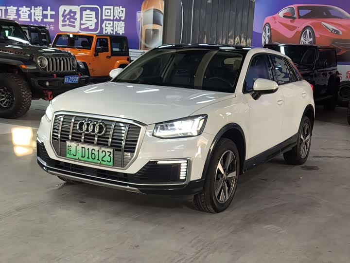 Audi Q2L e-tron 2019 2019款 Q2L e-tron 纯电智享型