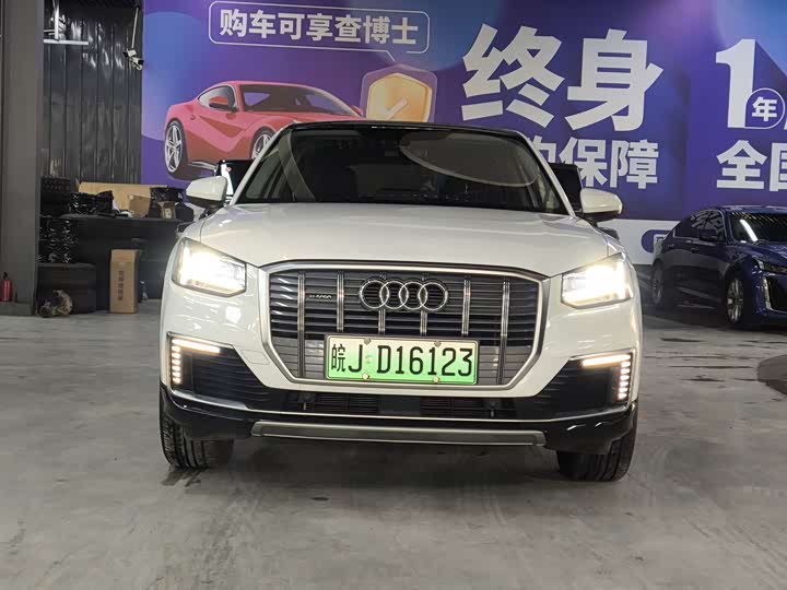 Audi Q2L e-tron 2019 2019款 Q2L e-tron 纯电智享型
