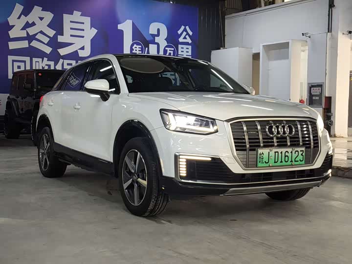 Audi Q2L e-tron 2019 2019款 Q2L e-tron 纯电智享型