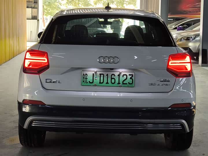 Audi Q2L e-tron 2019 2019款 Q2L e-tron 纯电智享型
