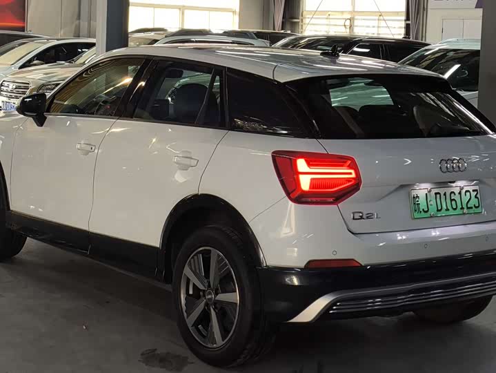 Audi Q2L e-tron 2019 2019款 Q2L e-tron 纯电智享型