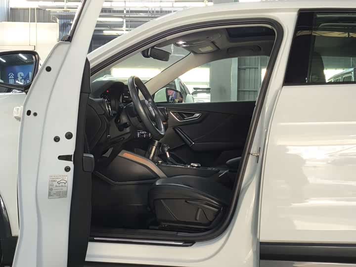 Audi Q2L e-tron 2019 2019款 Q2L e-tron 纯电智享型