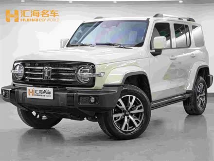 Tank 300 2024 2024款 2.0T 穿越者